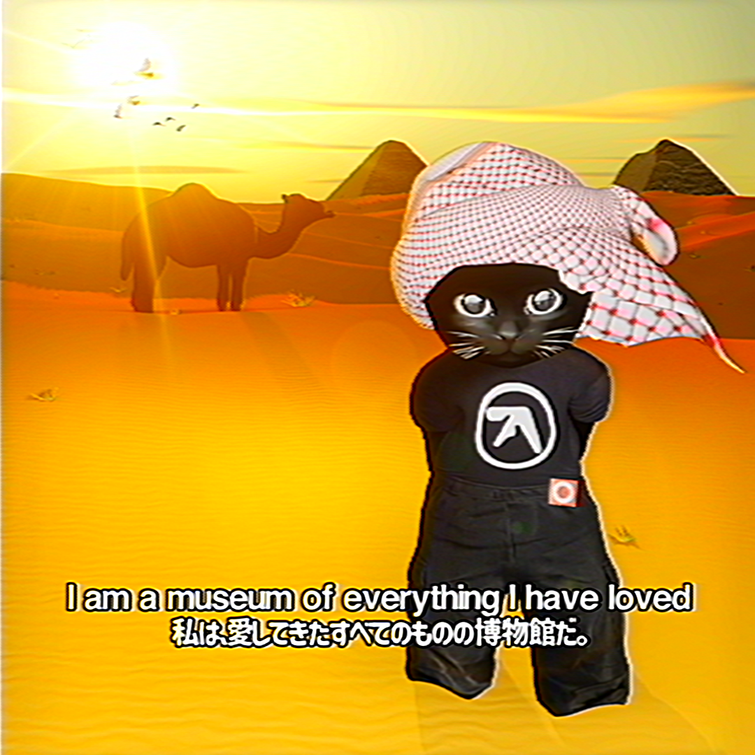 sluj cat, Aphex Twin tee against desert